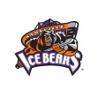 Knoxville Ice Bears Foundation